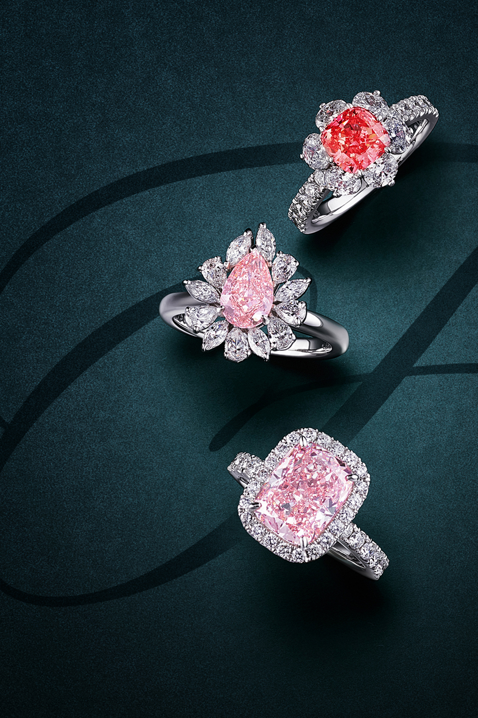 파이브앤플러스